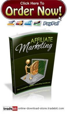 Product picture Affiliate Marketing Blueprint