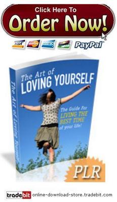 Product picture The Guide For Living The Best Time of Your Life