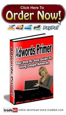 Product picture Adwords Primer