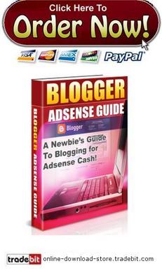 Product picture Blogger Adsense Guide