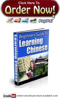 Product picture Beginners Guide To Learning Chinese
