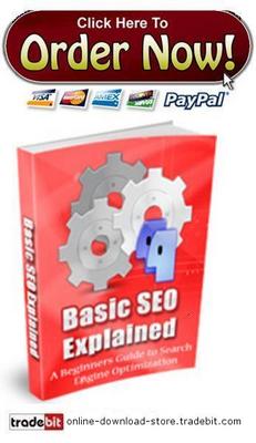 Product picture Basic SEO Explained