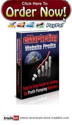 Product picture E-Marketing Website Profits 
