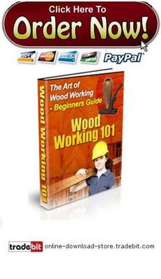 Product picture The Basics of Woodworking