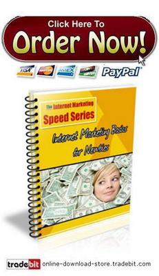 Product picture Internet Marketing Basics for Newbies