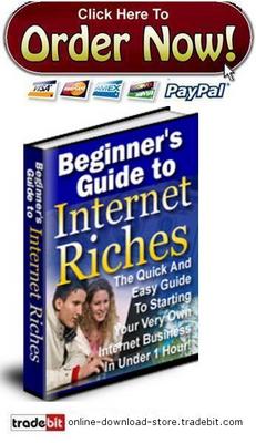 Product picture Beginners Guide To Internet Riches