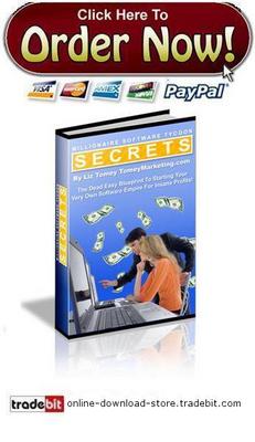 Product picture Millionaire Software Tycoon Secrets