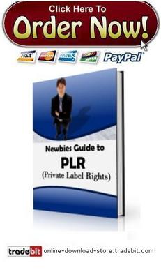 Product picture Newbies Guide To PLR