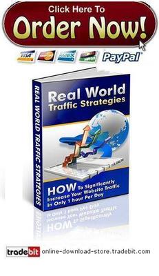 Product picture Real World Traffic Strategies