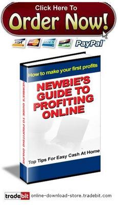 Product picture Newbies Guide To Profiting Online
