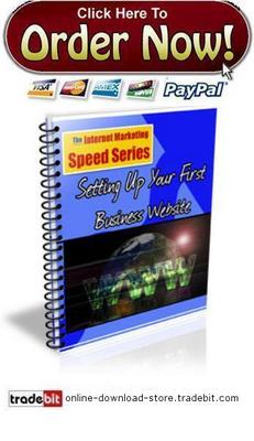 Product picture Setting Up Your First Business Website