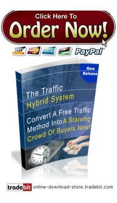 Product picture Traffic Hybrid System