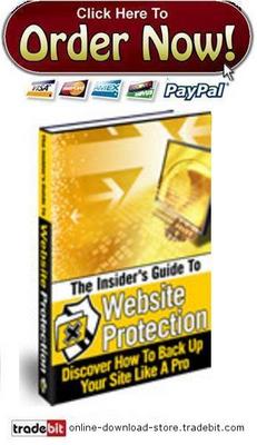 Product picture The Insiders Guide To Website Protection