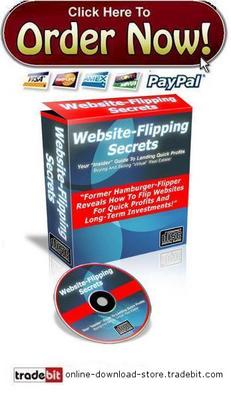 Product picture Website Flipping Secrets