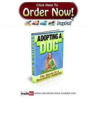 Product picture Adopting A Dog
