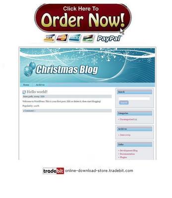 Product picture 12 Wordpress Themes In Christmas Niche