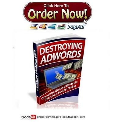 Product picture Destroying Adwords