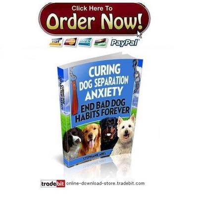 Product picture Curing Dog Separation Anxiety