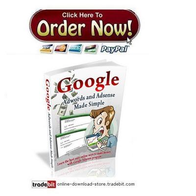 Product picture Google Adwords and Adsense Made Simple