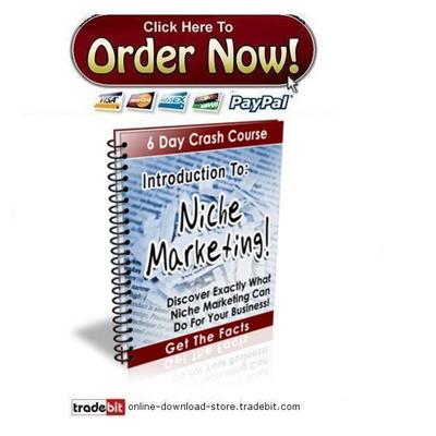 Product picture Introduction To Niche Marketing Crash Course