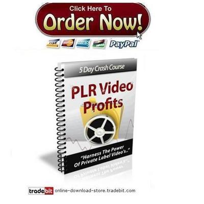 Product picture PLR Video Profits