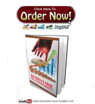 Product picture Big Profits From Small Priced Products