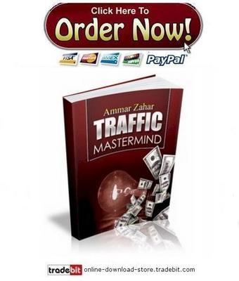 Product picture Traffic Mastermind