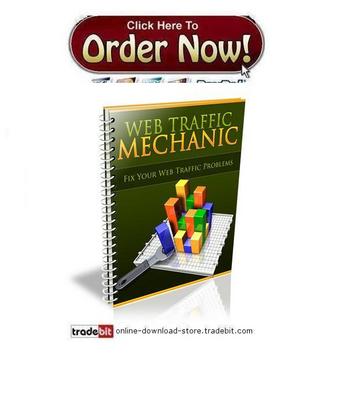 Product picture Web Traffic Mechanic