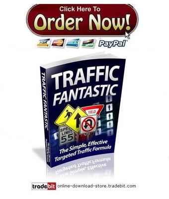 Product picture Traffic Fantastic