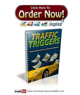 Product picture Traffic Triggers
